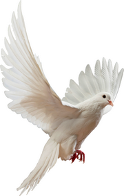 0_22fa58_94e715bf_XL